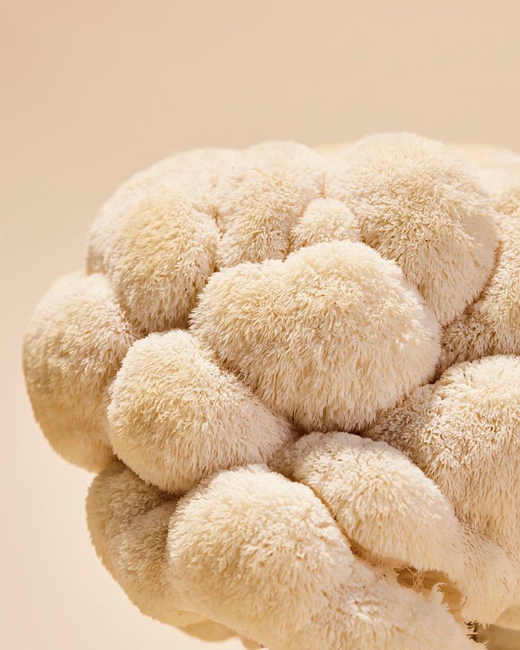 Sharpen Your Mind with Lion’s Mane Mushroom