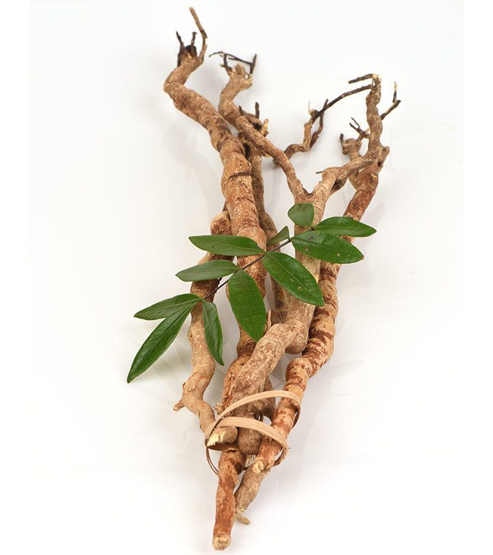 Tongkat Ali: Nature’s Testosterone Booster